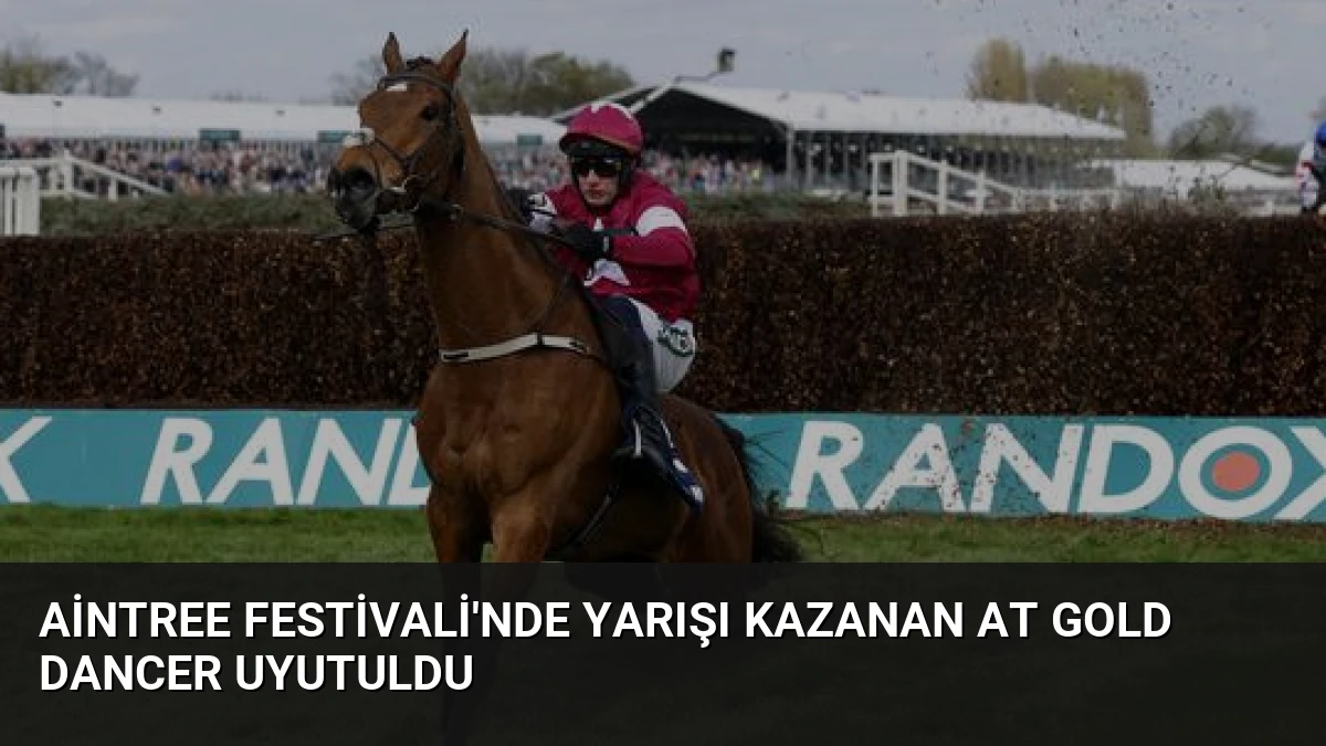 Aintree Festivali’nde Yarışı Kazanan At Gold Dancer Uyutuldu