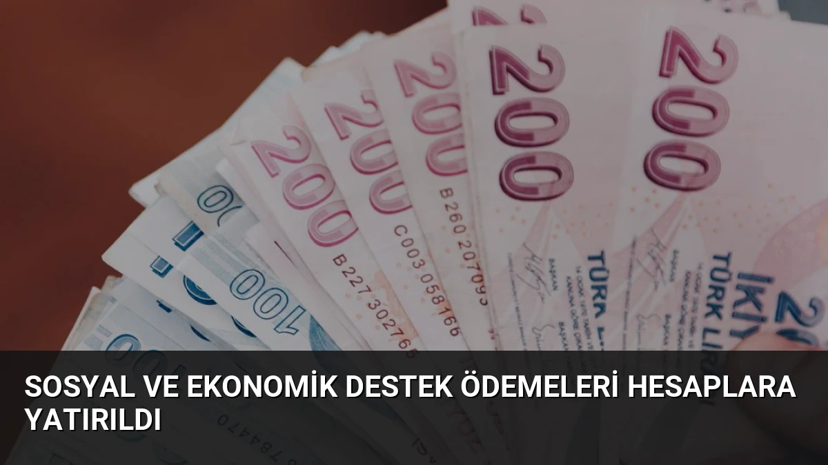 Sosyal ve Ekonomik Destek ödemeleri hesaplara yatırıldı
