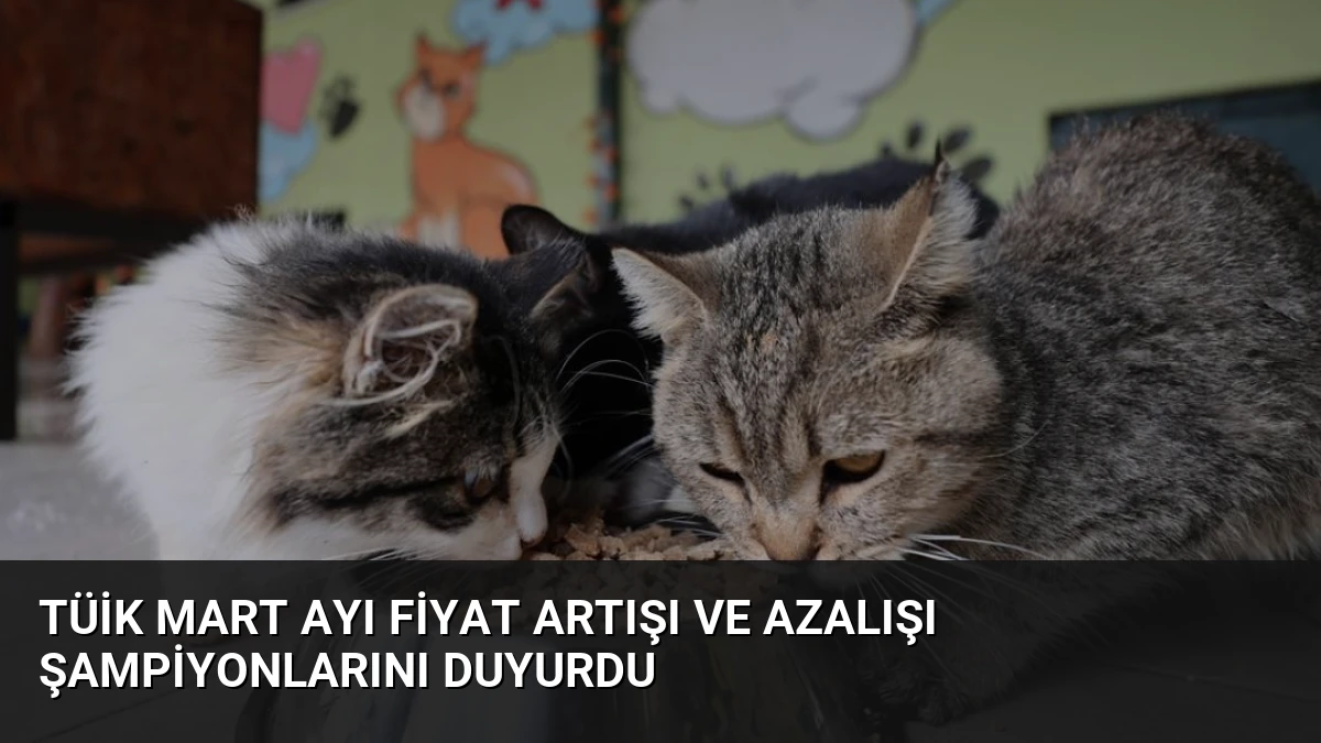 TÜİK Mart Ayı Fiyat Artışı ve Azalışı Şampiyonlarını Duyurdu