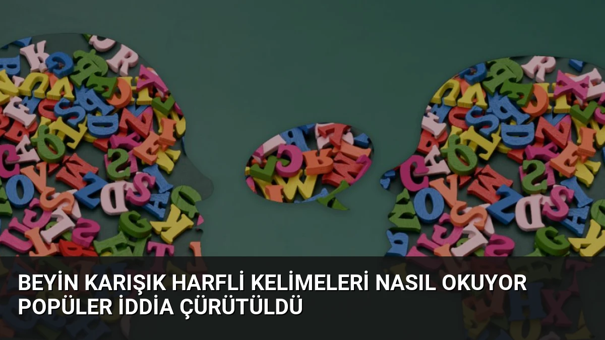 Beyin Karışık Harfli Kelimeleri Nasıl Okuyor Popüler İddia Çürütüldü