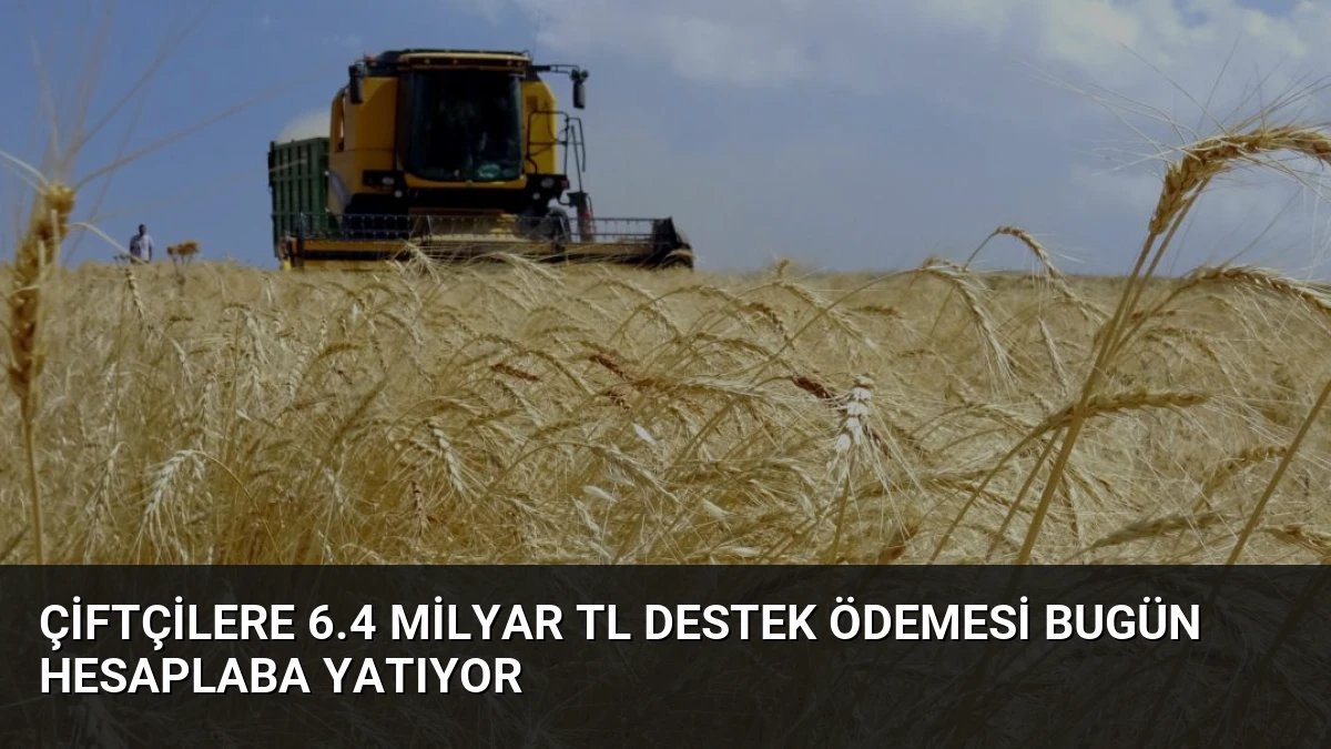 Çiftçilere 6.4 Milyar TL Destek Ödemesi Bugün Hesaplaba Yatıyor