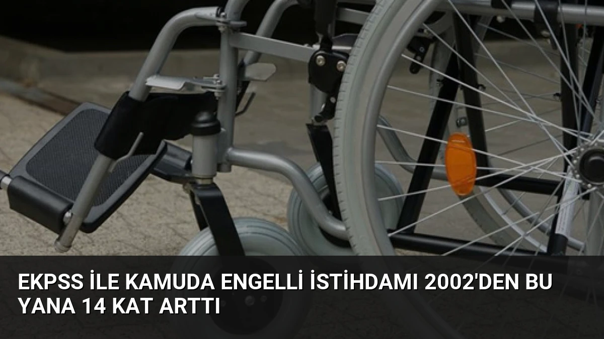 EKPSS ile Kamuda Engelli İstihdamı 2002’den Bu Yana 14 Kat Arttı