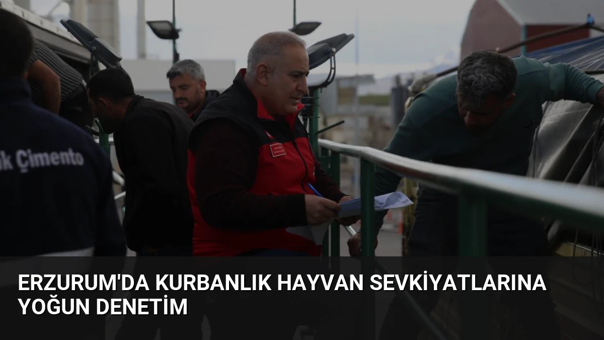 Erzurum’da Kurbanlık Hayvan Sevkiyatlarına Yoğun Denetim