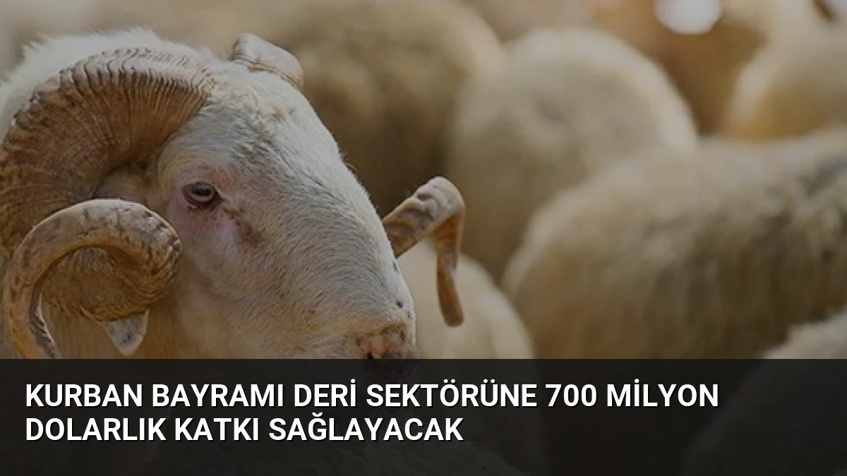 Kurban Bayramı Deri Sektörüne 700 Milyon Dolarlık Katkı Sağlayacak