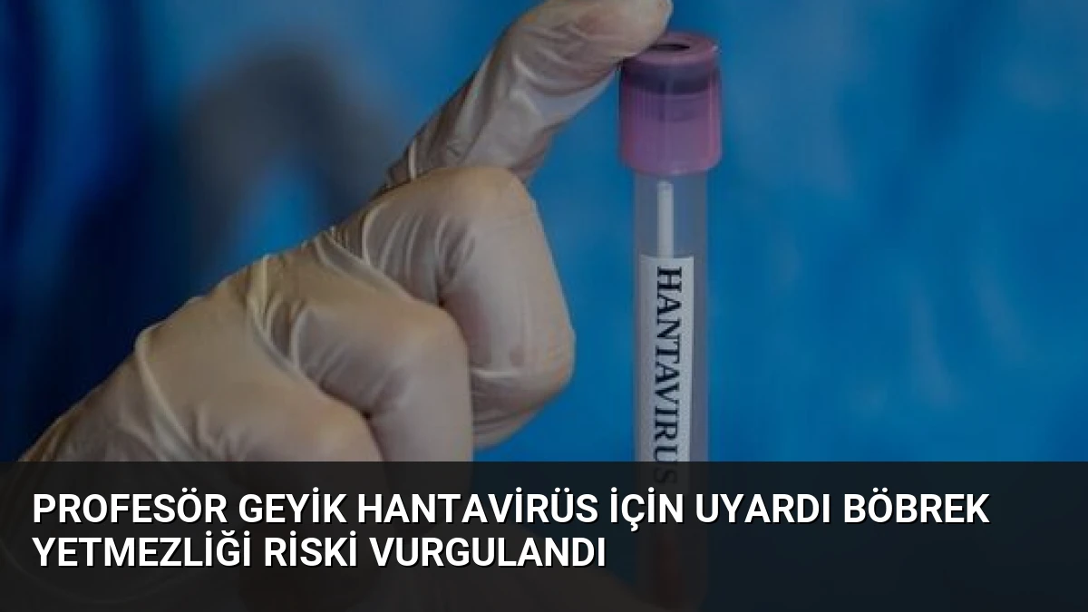 Profesör Geyik Hantavirüs İçin Uyardı Böbrek Yetmezliği Riski Vurgulandı