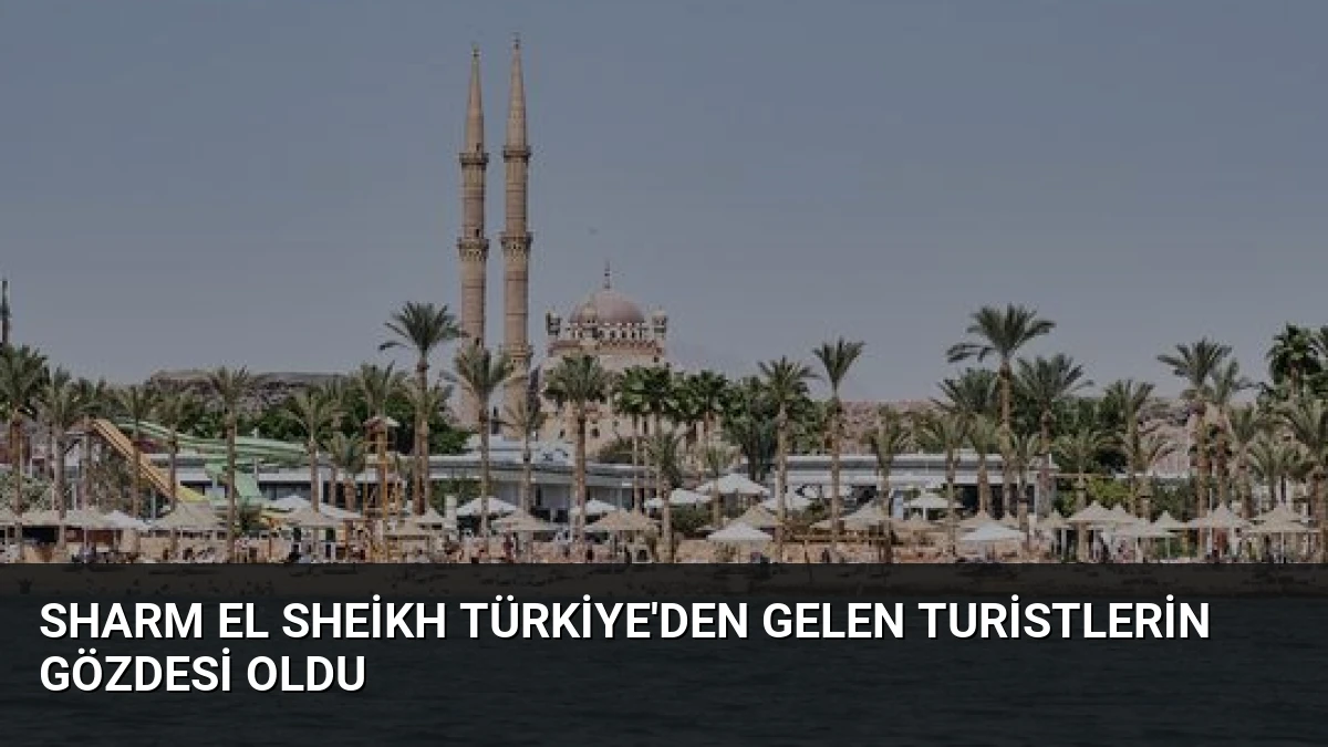 Sharm El Sheikh Türkiye’den Gelen Turistlerin Gözdesi Oldu