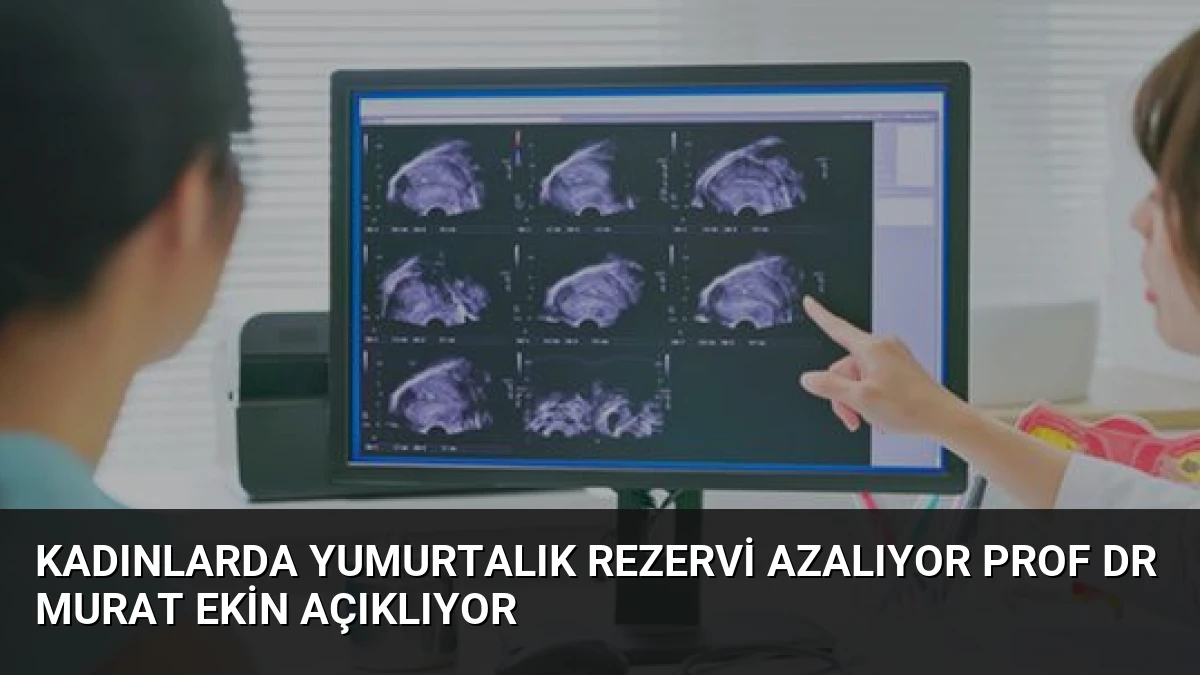 Kadınlarda Yumurtalık Rezervi Azalıyor Prof Dr Murat Ekin Açıklıyor