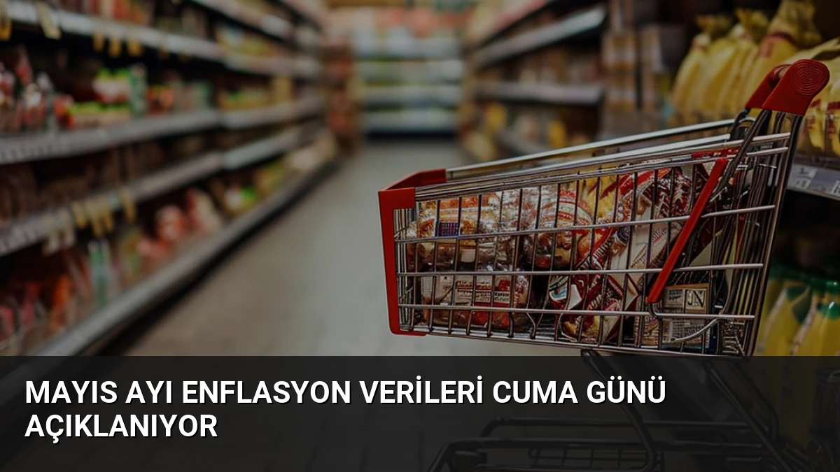 Mayıs Ayı Enflasyon Verileri Cuma Günü Açıklanıyor
