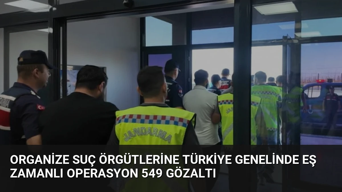 Organize Suç Örgütlerine Türkiye Genelinde Eş Zamanlı Operasyon 549 Gözaltı
