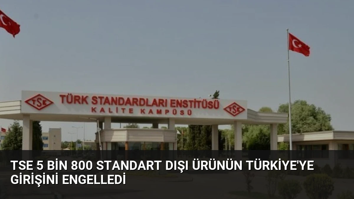 TSE 5 Bin 800 Standart Dışı Ürünün Türkiye’ye Girişini Engelledi