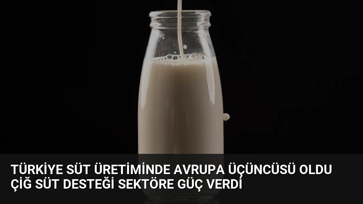 Türkiye Süt Üretiminde Avrupa Üçüncüsü Oldu Çiğ Süt Desteği Sektöre Güç Verdi