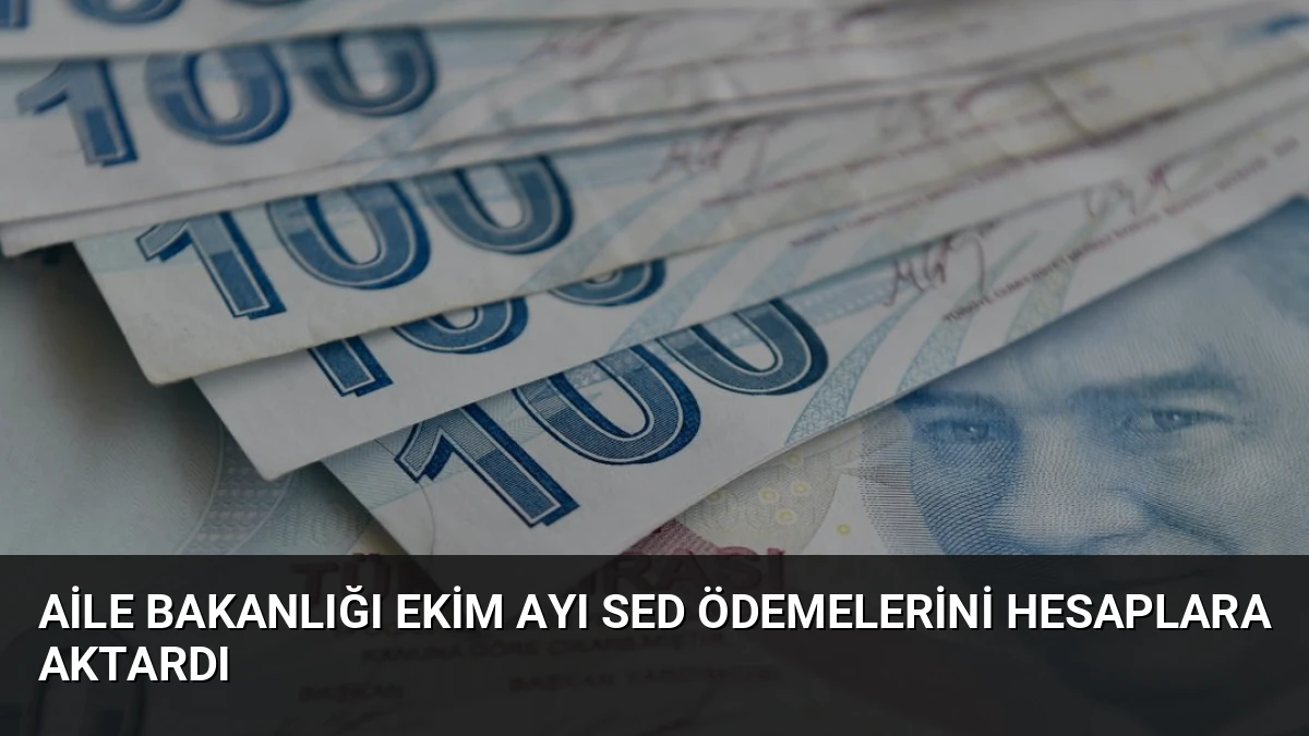 Aile Bakanlığı Ekim Ayı SED Ödemelerini Hesaplara Aktardı