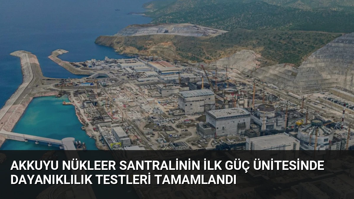 Akkuyu Nükleer Santralinin İlk Güç Ünitesinde Dayanıklılık Testleri Tamamlandı