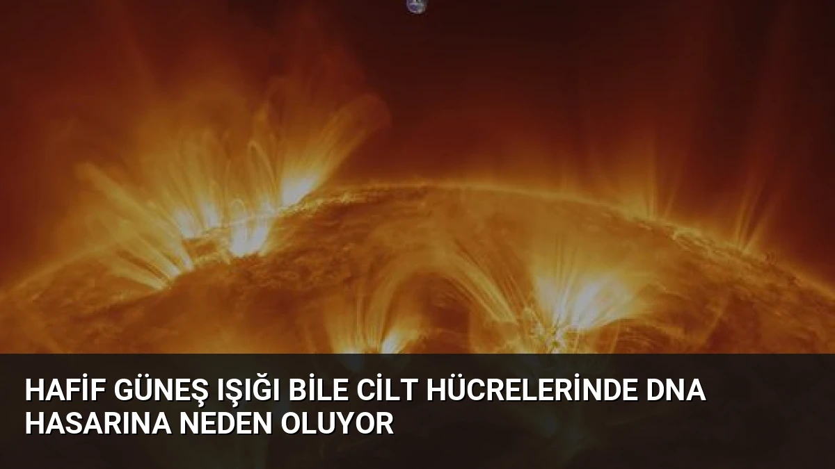 Hafif Güneş Işığı Bile Cilt Hücrelerinde DNA Hasarına Neden Oluyor
