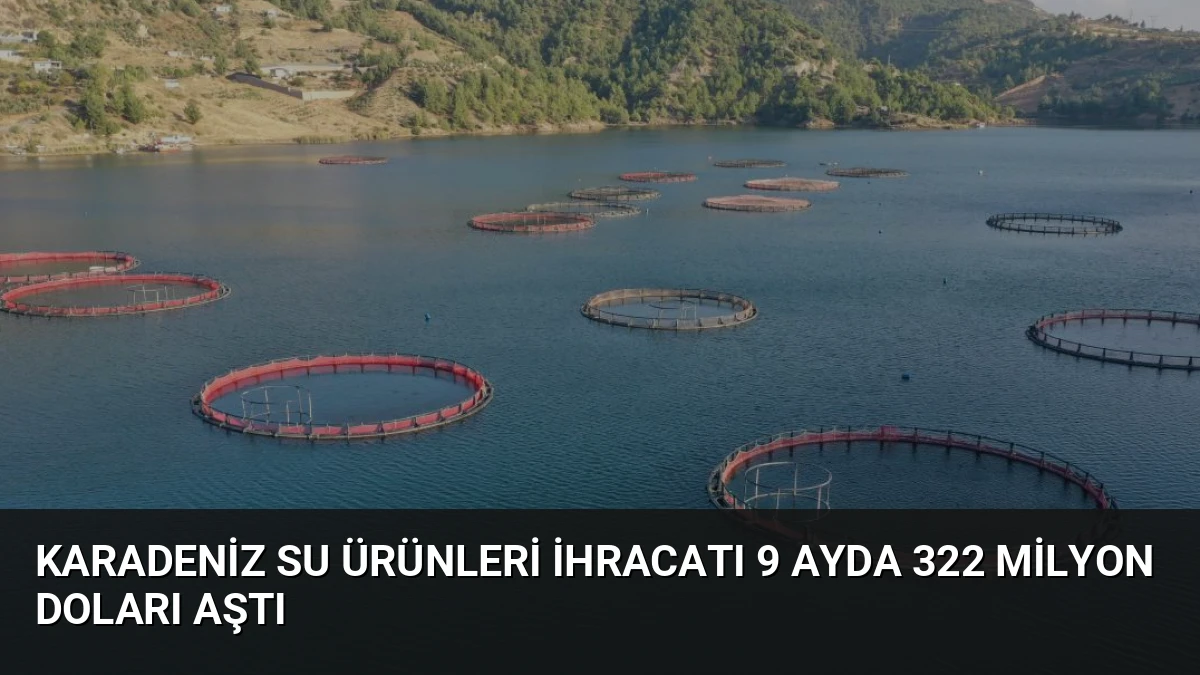 Karadeniz Su Ürünleri İhracatı 9 Ayda 322 Milyon Doları Aştı