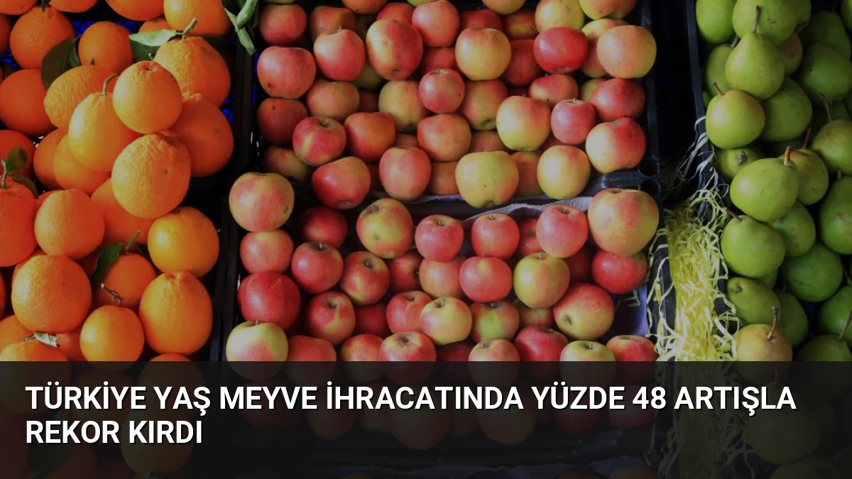 Türkiye Yaş Meyve İhracatında Yüzde 48 Artışla Rekor Kırdı